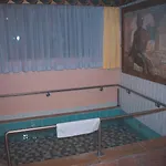 Alpenrose Hotel
